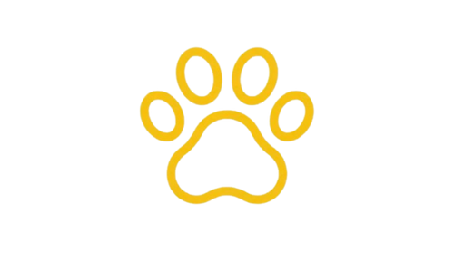 Nova Pets
